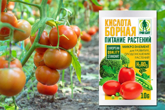 Борная кислота для томатов: как применять для увеличения урожая