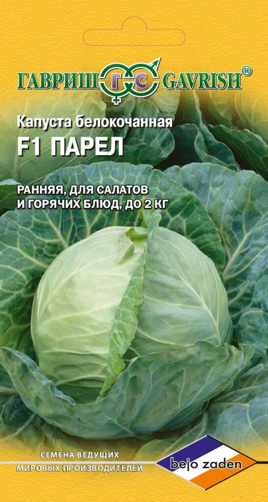 Капуста Парел — описание сорта, фото, выращивание в России