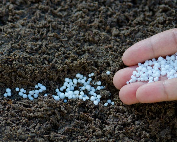 Плодородие почвы: что нужно знать об удобрении