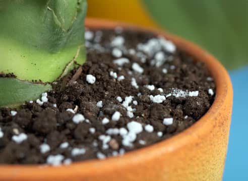 Польза для растений минеральных удобрений: азотных, фосфорных, калийных