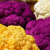 Фиолетовая цветная капуста: достоинства и недостатки