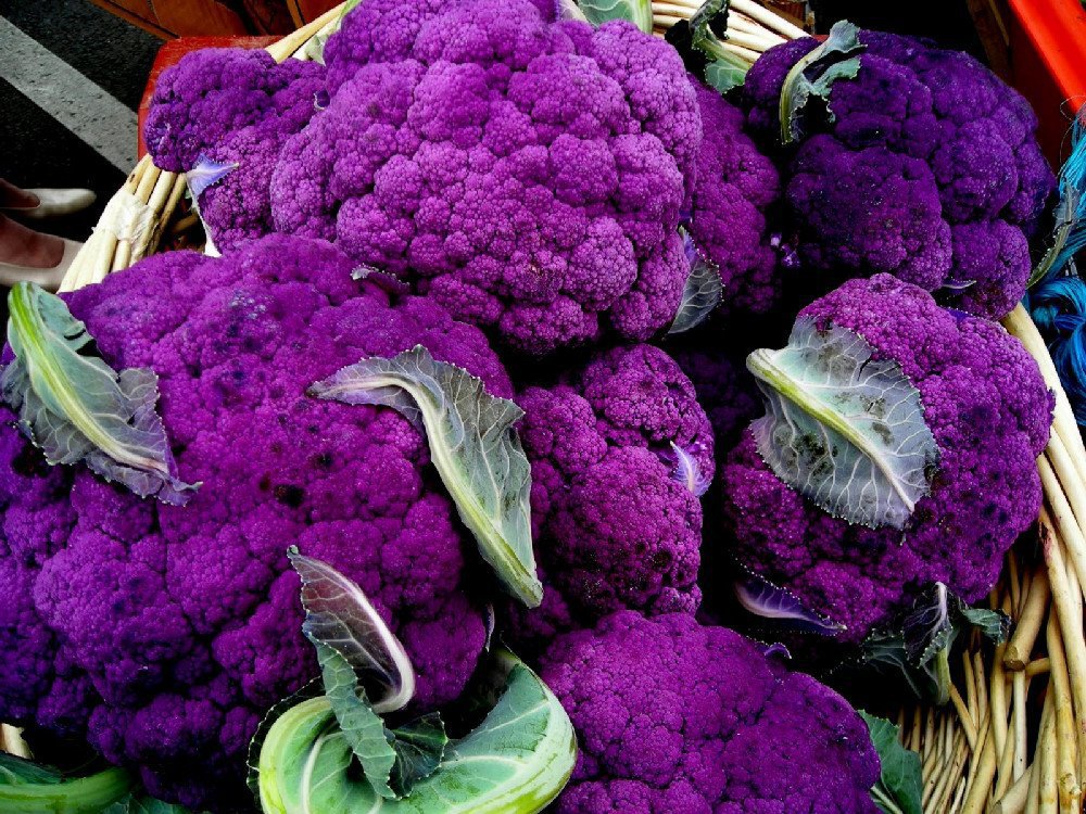 Фиолетовая цветная капуста: достоинства и недостатки