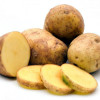 Методы лечения парши картофеля