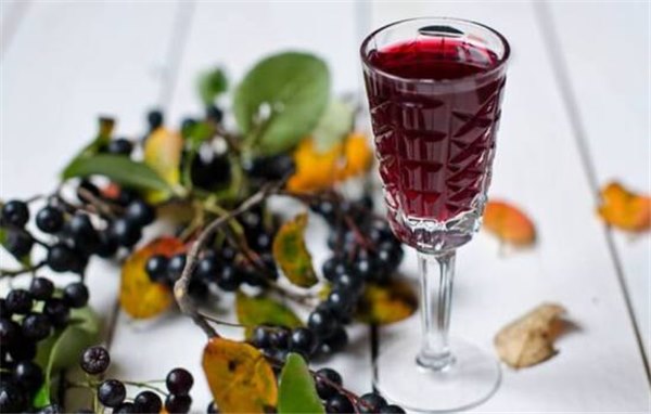 Технология приготовления вина из рябины: 7 лучших рецептов с фото