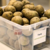 Технология выращивания картофеля: методы и способы