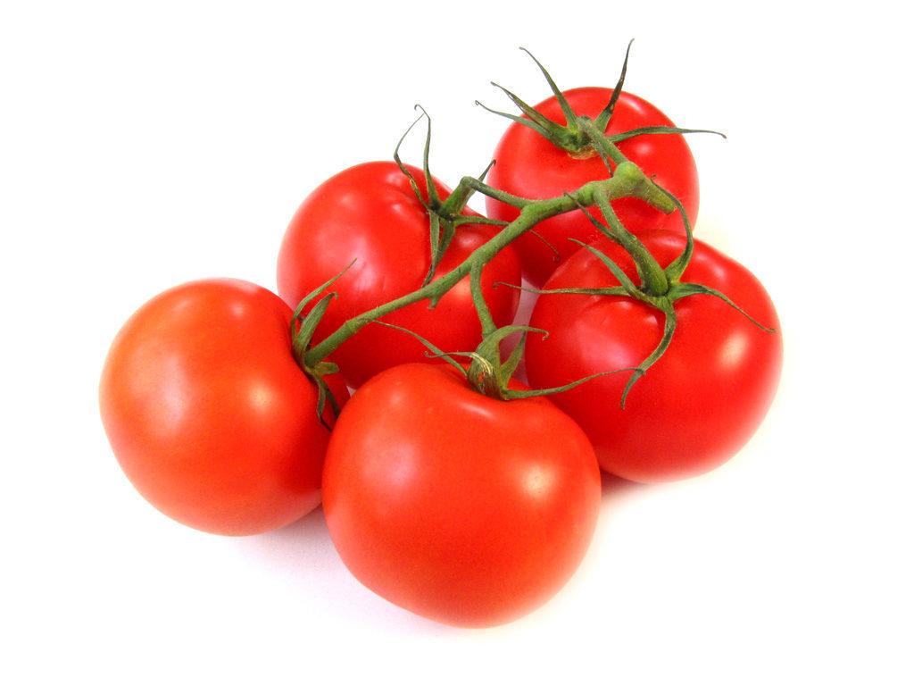 Ультраскороспелый сорт томатов Катя