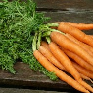 Как правильно выращивать позднеспелый сорт моркови Королева осени