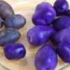 Как вырастить фиолетовую картошку у себя на огороде?