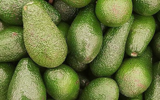 Авокадо при похудении: полезные свойства для женщин, основы диеты, рецепты блюд
