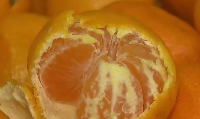 Червяки в мандаринах: бывают ли паразиты в плодах, чем опасны такие цитрусовые
