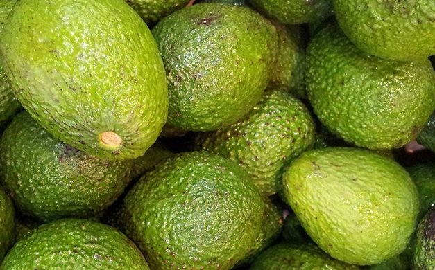 Что можно приготовить из авокадо, секреты быстрых и вкусных рецептов
