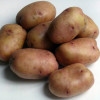 Как окучивать картошку вручную: советы новичкам