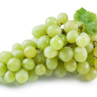 Выращиваем столовый сорт винограда Монарх: практические советы