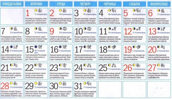 Лунный календарь огородника на май 2023: благоприятные дни