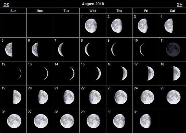 Лунный календарь садовода-огородника август 2023: благоприятные дни