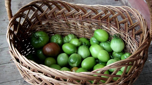 Особенности выращивания томатов сорта Демидов