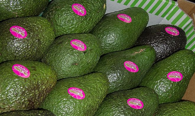 Стоимость авокадо, сколько стоит авокадо в пятерочке и других торговых сетях
