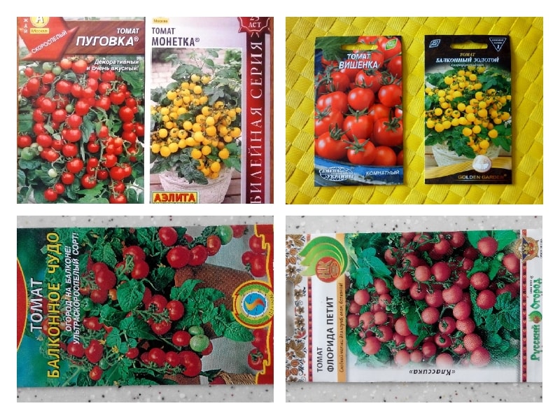 Как вырастить помидоры на подоконнике