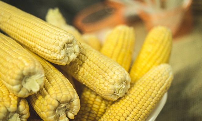 Кукуруза: бжу, химический состав, пищевая ценность, вареная и консервированная