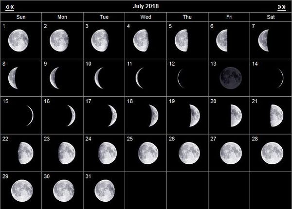 Лунный календарь садовода и огородника июль 2023 года: лучшие дни
