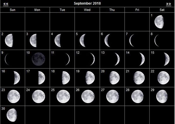 Лунный календарь садовода на сентябрь 2023: благоприятные дни