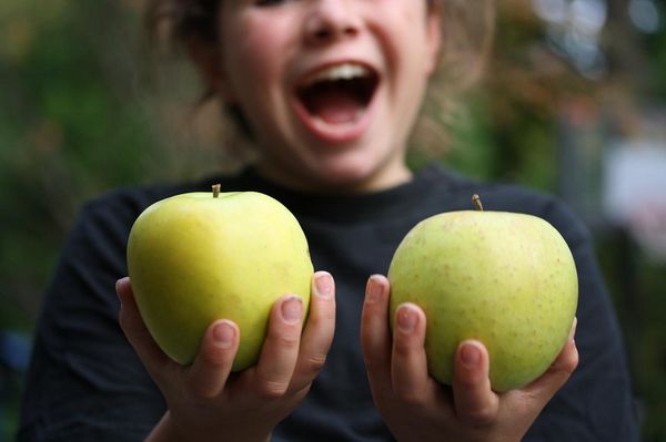 Основные характеристики яблони с изысканным вкусом Мутсу