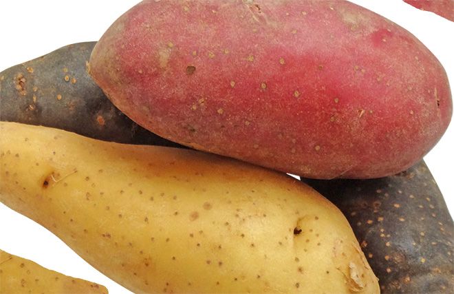 Витамины в картофеле: состав картошки белки, жиры, углеводы, калорийность