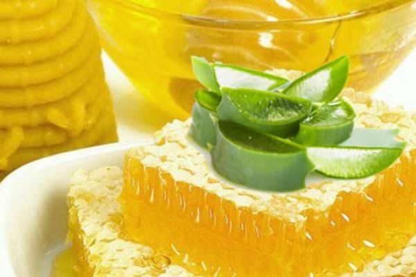Алоэ с медом: лечебные свойства и противопоказания