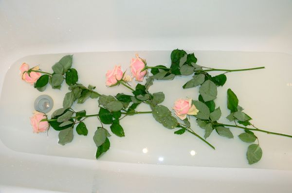 Как сохранить розы в вазе дольше всего: продлеваем жизнь