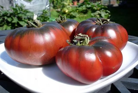 Сорт томатов Цыган: фото и описание, выращивание