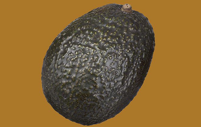 Авокадо это фрукт или овощ или ягода, ботаническое описание растения