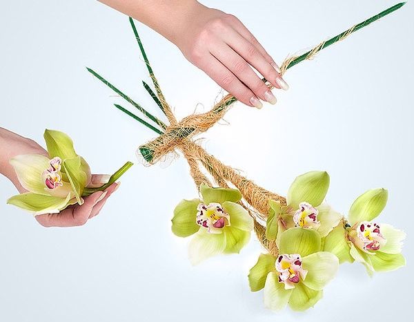 Букет из орхидей: как сделать своими руками и как ухаживать