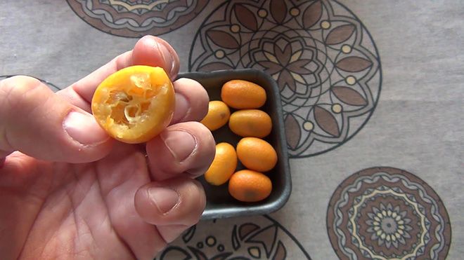 Цвет маленького мандарина, название сортов небольших плодов и их история возникновения