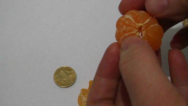 Цвет маленького мандарина, название сортов небольших плодов и их история возникновения