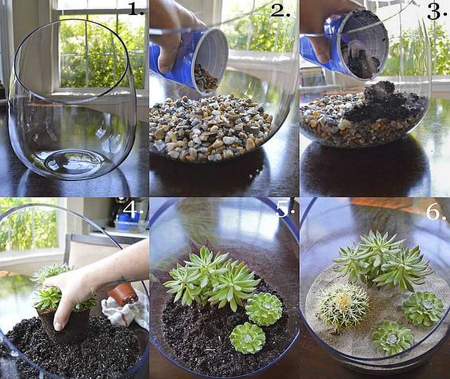 Флорариум своими руками: пошаговая инструкция для начинающих + выбор емкости и растений, варианты и фото композиций