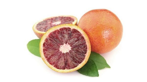 Гибрид красный апельсин: описание и характеристики цитруса