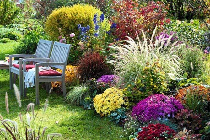 Осенние цветы: красивые цветущие растения сентября, октября и ноября + варианты и фото расположения в саду и на клумбах