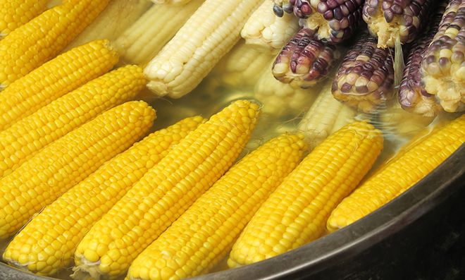 Основные районы выращивания кукурузы в России, роль культуры в сельском хозяйстве
