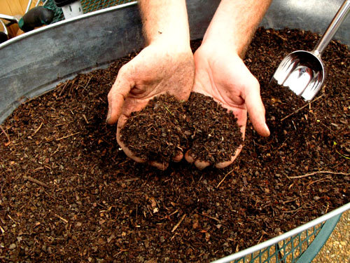 Почва для клубники и схемы формирования грядок