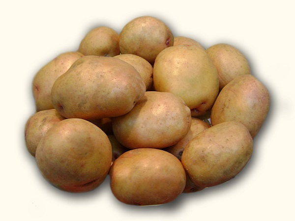 Сорт картофеля Шелфорд: фото и описание