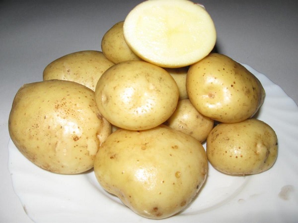 Сорт картофеля Тимо: фото и описание