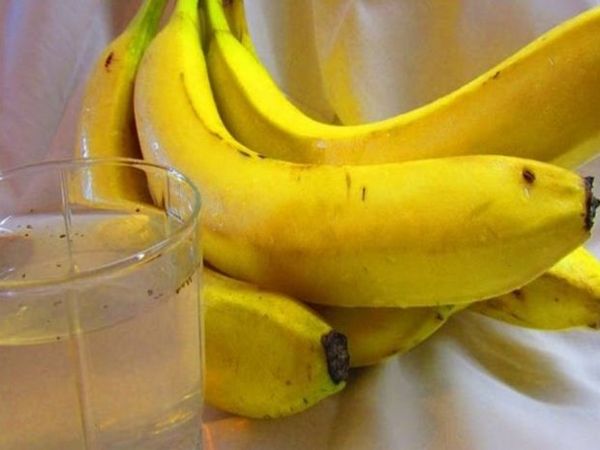 Удобрение из банановой кожуры для комнатных растений: применение