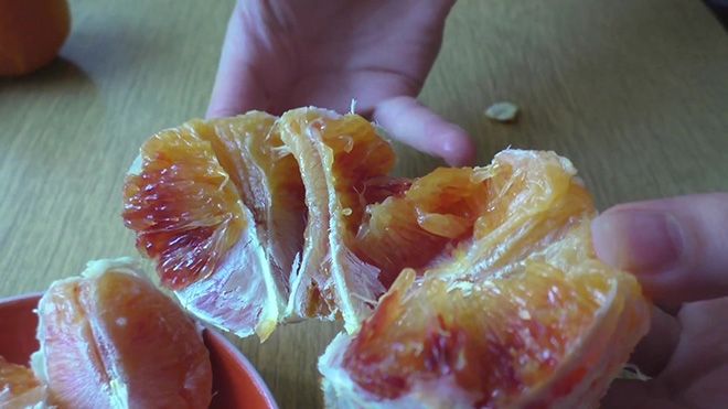 Гибрид мандарина и грейпфрута: как называется и почему, танжело или медовые колокольчики
