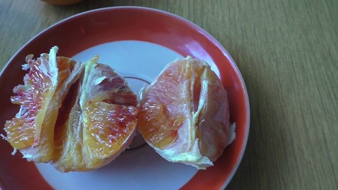 Гибрид мандарина и грейпфрута: как называется и почему, танжело или медовые колокольчики