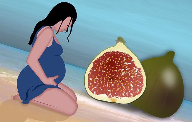 Инжир при беременности: на ранних и поздних сроках, применение сушенных плодов