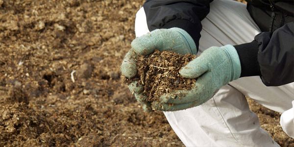 Как улучшить почву и эффективно повысить плодородие