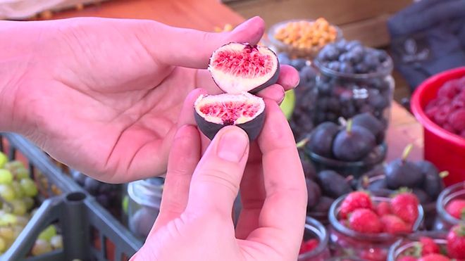 Как выбрать инжир: правила выбора свежих и сухих плодов