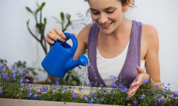 Полив комнатных растений: выбор воды и основные способы