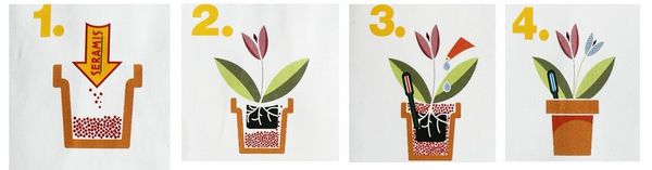Серамис для орхидей: состав, преимущества и недостатки, хранение и повторное использование + пошаговая посадка и уход