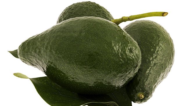 Сколько калорий в авокадо: бжу и кбжу плодов, гликемический индекс и пищевая ценность фрукта